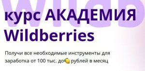 Курс Академия Wildberries. Тариф Бронза.jpeg