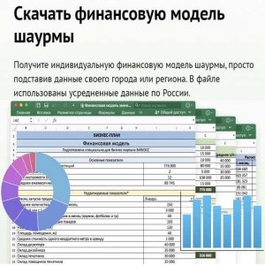 biboss-finansovaja-model-shaurmy-s-biznes-planom-2022.jpg