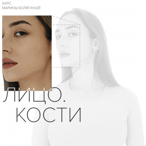 Лицо. Кости.png